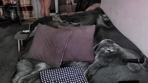 Lana online show from February 2026 10:46:01 PM