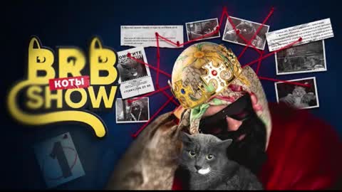 Angus online show from November 2025 08:04:02 AM