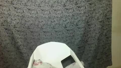 twerker_lyly online show from October 2025 07:00:01 PM