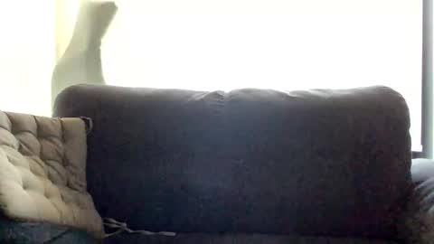 Nick online show from January 2025 02:46:02 AM