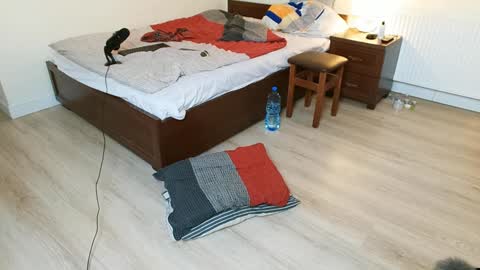 Vicky  Victor online show from December 2024 03:54:01 AM