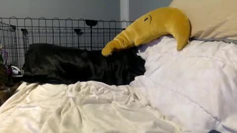 Snapshot of twinkybell chatting on October 2025 04:27:01 AM twinkybell online show from October 2025 04:27:01 AM