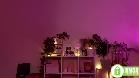 Stranger online show from December 2024 08:04:02 PM