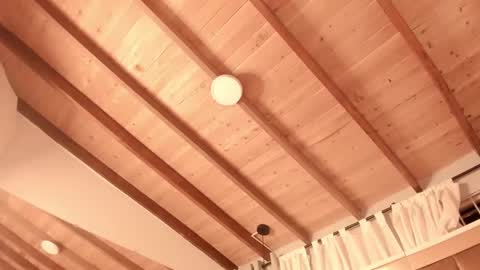 Twiggy online show from February 2025 11:37:01 PM