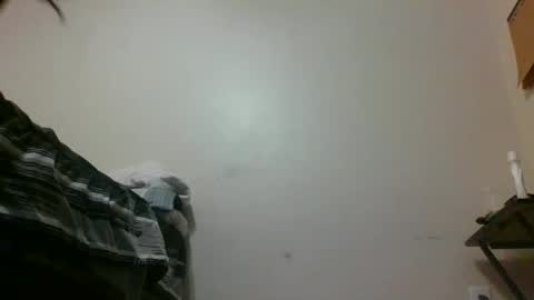 txbigd131369 online show from January 2025 01:16:01 AM