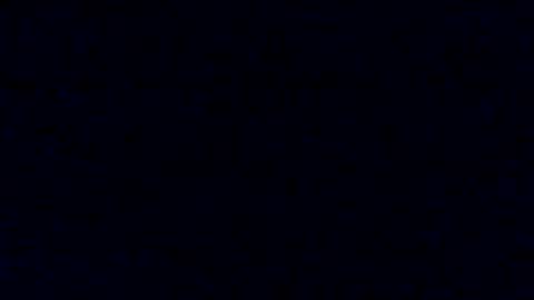 Tyler Chen online show from January 2025 07:51:02 AM