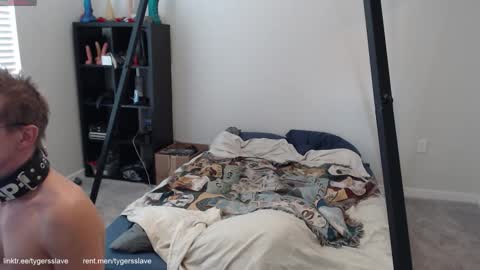 Tygers slave online show from October 2025 08:42:02 PM