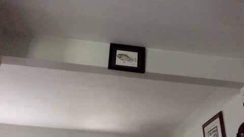 Snapshot of tylerdurden256 chatting on February 2025 06:12:01 PM Tyler Durden online show from February 2025 06:12:01 PM