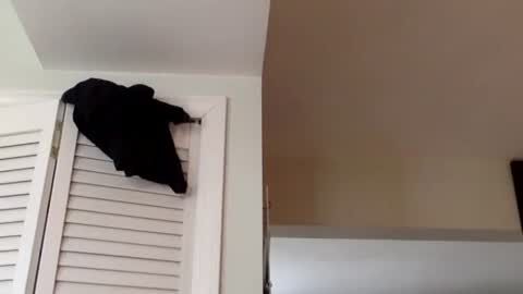 Snapshot of tylerdurden256 chatting on March 2025 01:38:02 PM Tyler Durden online show from March 2025 01:38:02 PM