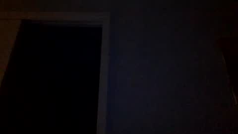 Snapshot of tylerdurden256 chatting on March 2025 12:29:02 AM Tyler Durden online show from March 2025 12:29:02 AM