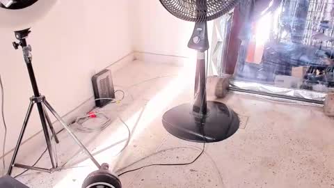 Dvid Rullers online show from December 2025 12:54:01 PM