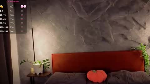 Snapshot of udeleclive chatting on November 2025 03:25:02 PM Polly online show from November 2025 03:25:02 PM