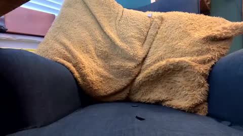 ukclive online show from February 2025 01:22:02 PM