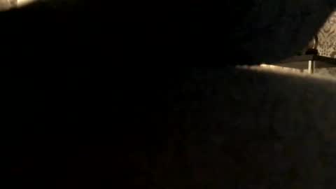 ukcock699196923 online show from November 2025 05:04:01 PM