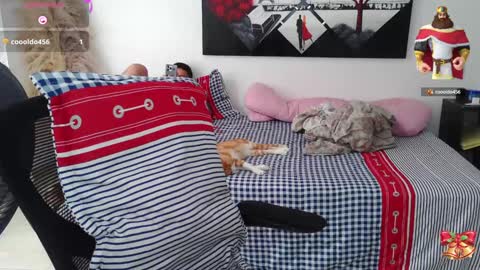 umarani online show from December 2024 03:35:01 PM