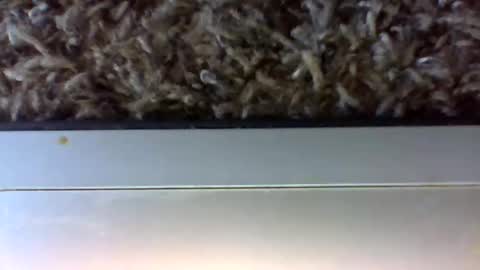 tele kuzhbuzh online show from January 2025 06:25:01 PM