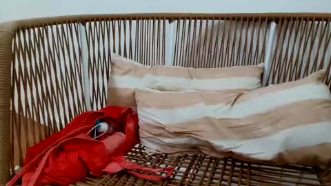 Under  Huge cock with beautiful uncut foreskin online show from January 2025 08:57:02 PM