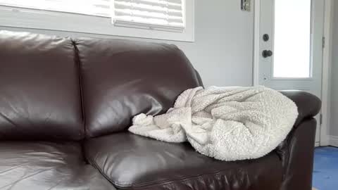 ungerisland online show from March 2025 07:26:02 PM