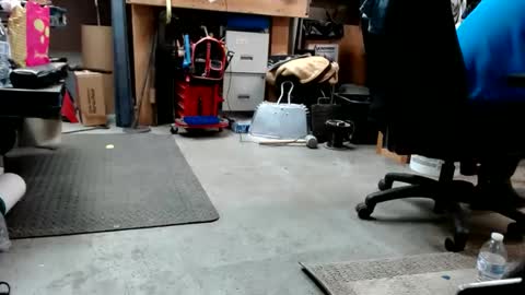 upforanything27 online show from December 2024 02:10:02 AM