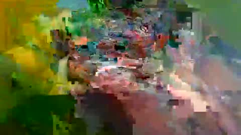 Snapshot of ur_zaddy4now chatting on January 2025 11:37:02 AM ur_zaddy4now online show from January 2025 11:37:02 AM