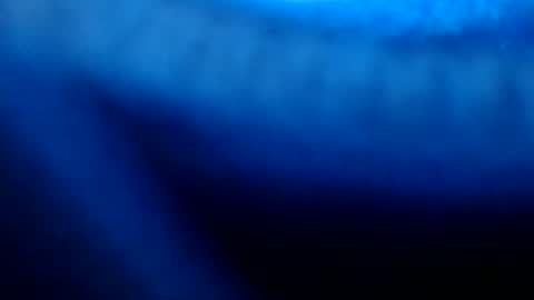 Snapshot of urasian_pinayjessaxxx chatting on July 2026 07:13:01 AM urasian_pinayjessaxxx online show from July 2026 07:13:01 AM