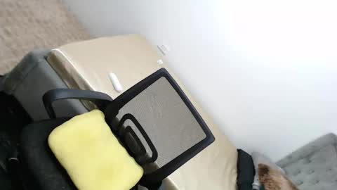 Amira online show from February 2025 03:32:01 AM