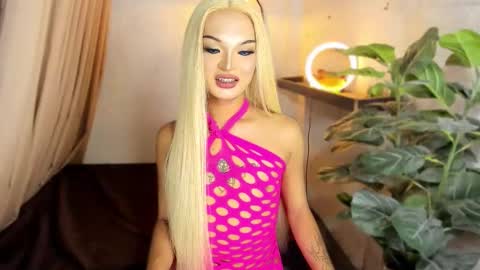 jhaii online show from October 2025 06:38:02 PM