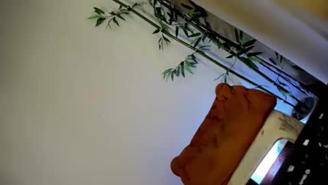 ursashafucker69 online show from December 2024 10:17:02 AM