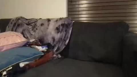 Urwivesaffair online show from October 2025 01:54:01 PM