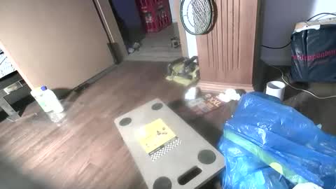 BamBam online show from April 2026 02:36:01 AM