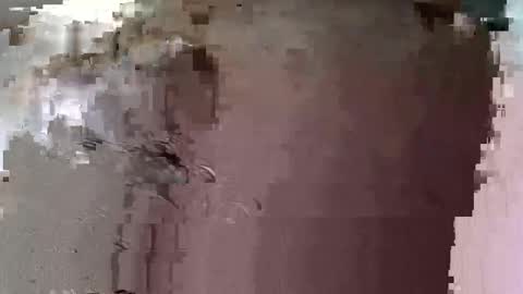 uzurpator0031 online show from March 2026 02:31:01 PM