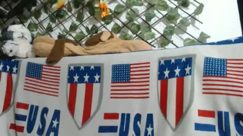 vaiolet online show from November 2025 05:40:01 AM