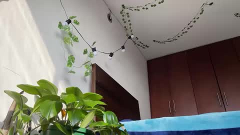   Valentin  independent Cam Boy     online show from March 2025 12:39:02 PM