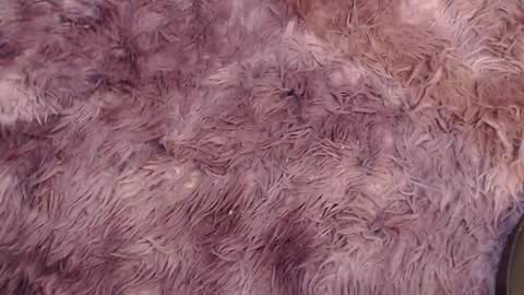 Snapshot of valery_carter01 chatting on February 2026 02:53:01 AM valery carter01 online show from February 2026 02:53:01 AM