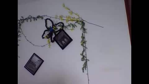 valery_honey_ online show from June 2026 01:18:01 AM