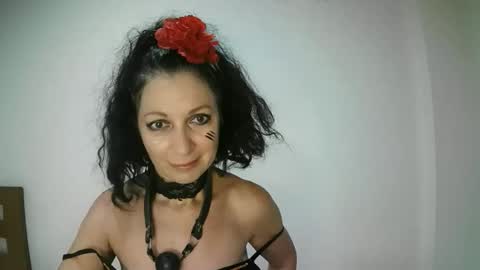 Snapshot of valleriwind chatting on November 2025 12:27:02 AM ValleriWind online show from November 2025 12:27:02 AM