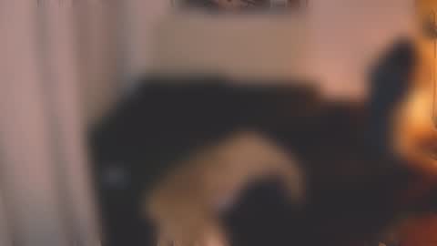 Little Devil online show from December 2024 03:08:01 PM