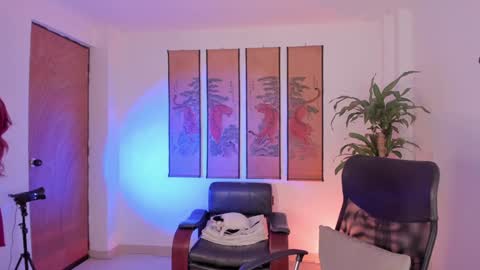      online show from January 2025 08:32:01 PM