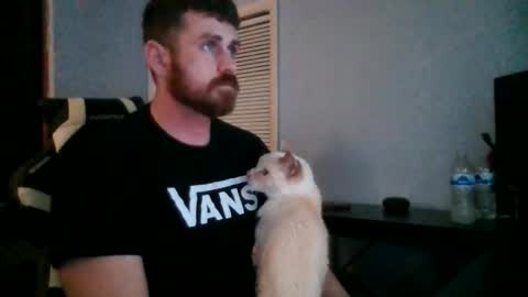 Vandal2021 online show from November 2025 12:11:02 AM