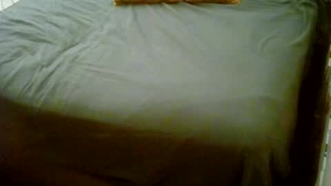 Usagi online show from January 2026 12:36:01 AM