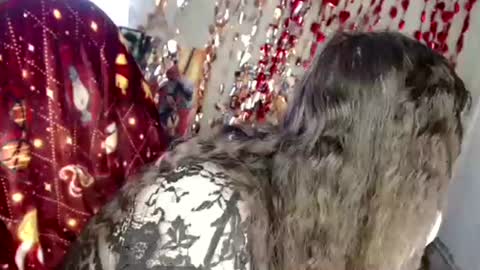 Var Kiss online show from April 2026 04:33:02 AM