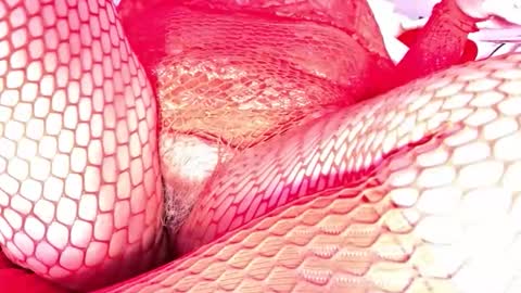 Vehe Veun online show from December 2025 07:20:01 PM