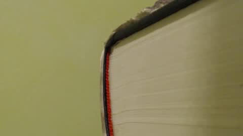 vendi1 online show from January 2025 08:26:02 PM