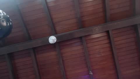 Venus Evans online show from February 2025 02:56:02 AM