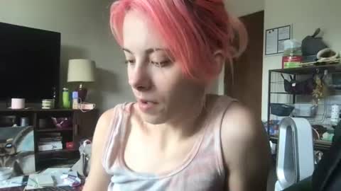 Snapshot of venustheflytrap chatting on July 2026 08:55:02 PM venustheflytrap online show from July 2026 08:55:02 PM