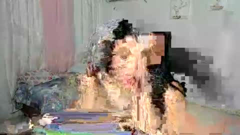 Snapshot of venuswilliamx chatting on November 2025 02:04:02 AM venus online show from November 2025 02:04:02 AM