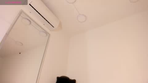 vera online show from November 2025 11:21:01 AM