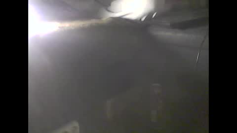 Im DanielVerdo  25 years old Lets have Fun and just ask what wanne know   tnew anal bigock cum  slave  fullnaked online show from January 2025 02:01:01 AM