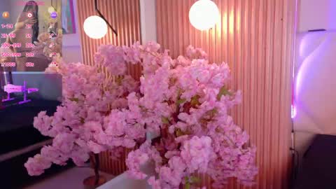 veronica_hill_ online show from May 2026 03:04:02 AM
