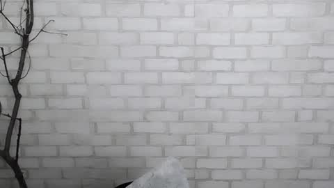 Snapshot of veryveryshygirl chatting on December 2024 03:59:02 PM Ana online show from December 2024 03:59:02 PM